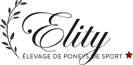 Elity - élevage de poneys de sport