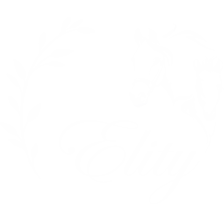 Elity - élevage de poneys de sport